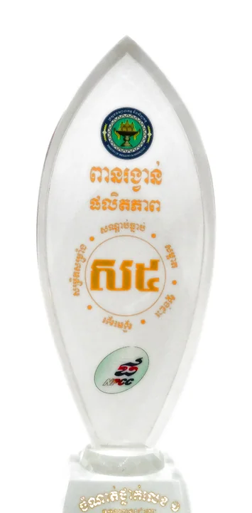 5S Productivity Award trophy, 2013